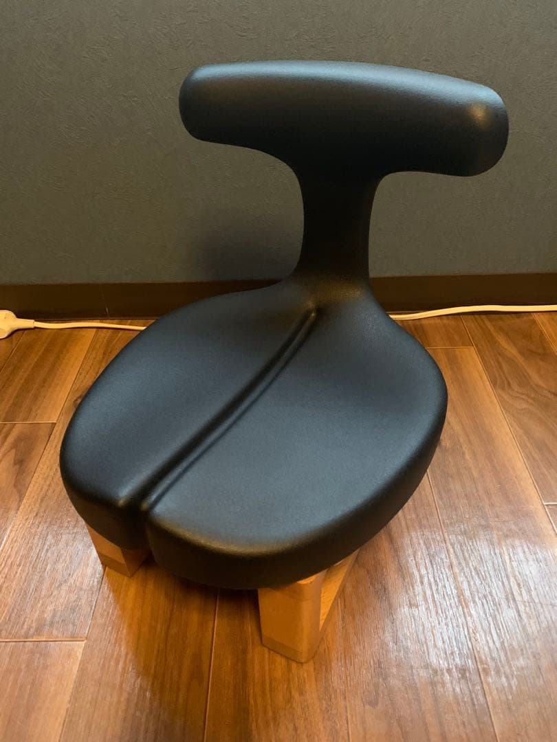 ayur chair medical seat アーユルチェア　座椅子 楽天市場】公式 骨盤矯正 座椅子 脊柱管狭窄症 床 クッション 腰痛対策