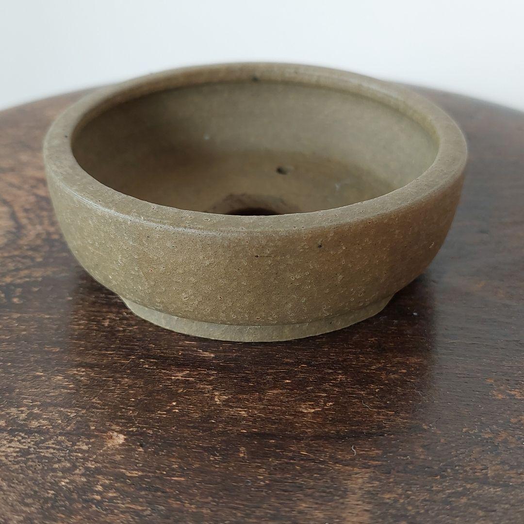 盆栽鉢　盆栽　常滑焼