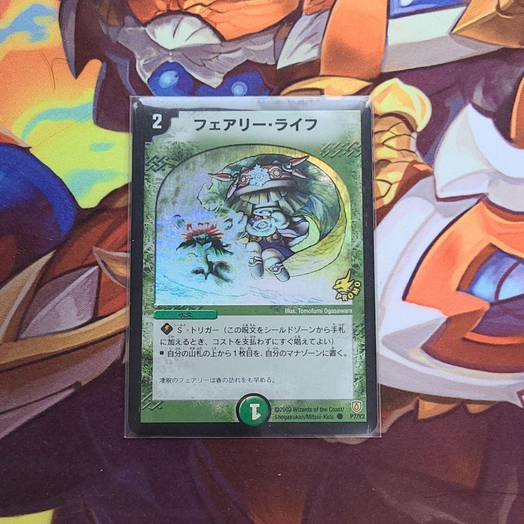 フェアリーライフ　初期プロモ