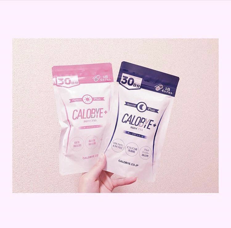 新品未開封 カロバイプラス 朝夜コース