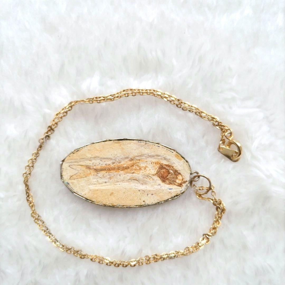 古代魚 ダスティルベ 化石 ネックレス ブラジル産 ヴィンテージ 希少