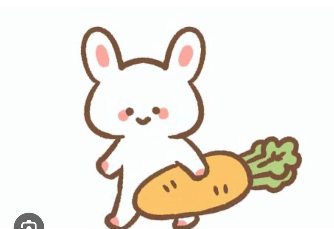 ボディソープ COCO