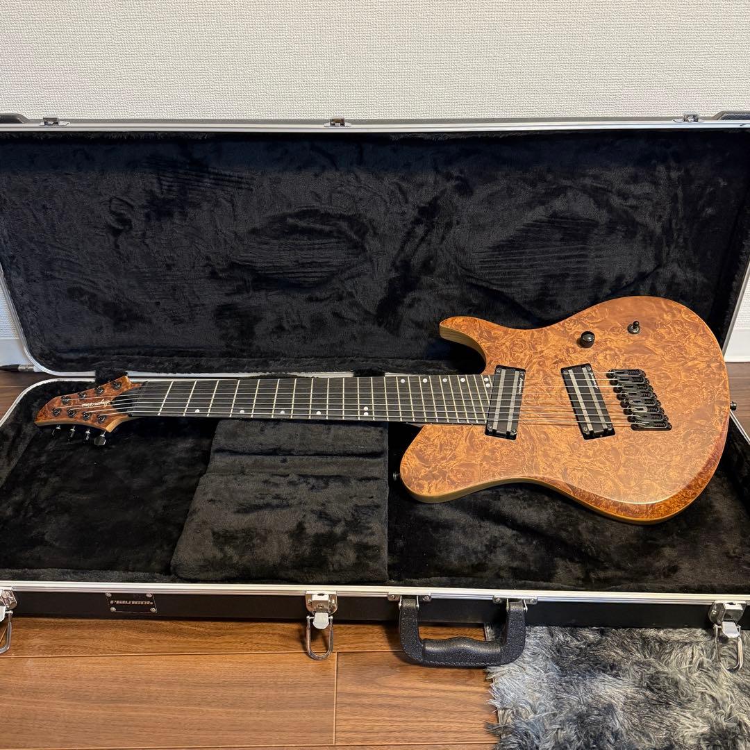 Inyen Vina Guitars 8弦