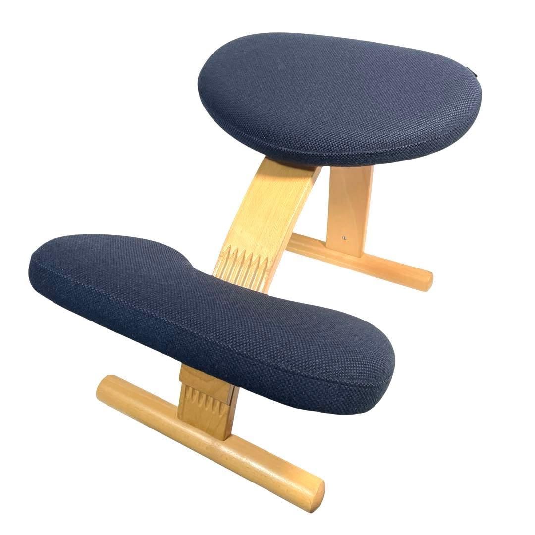 Rybo Balans Easy バランスチェア サカモトハウス ネイビー 椅子