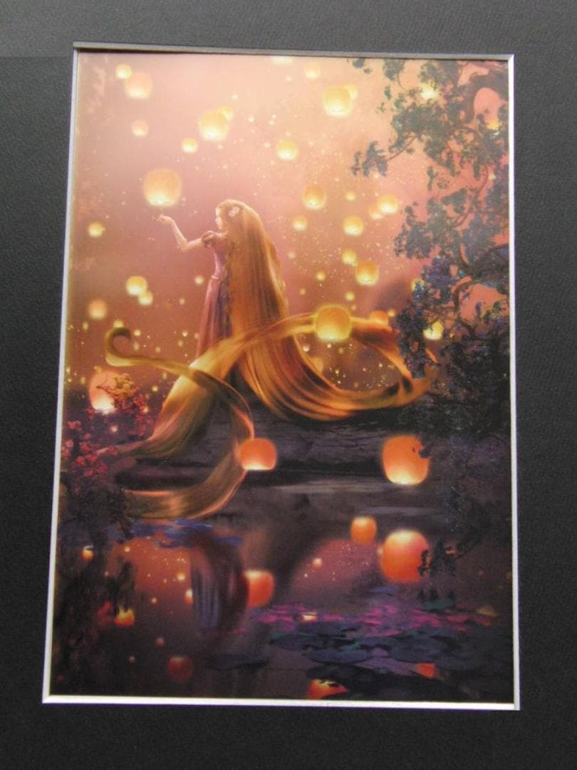 ステファン・マーチンエアー、【Alight】、希少な額装用画集より、状態良好