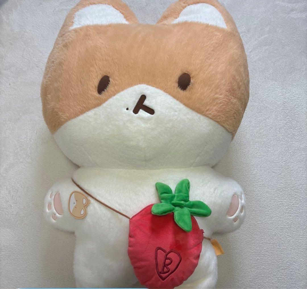 トレギ ぬいぐるみ イチゴポケット付き