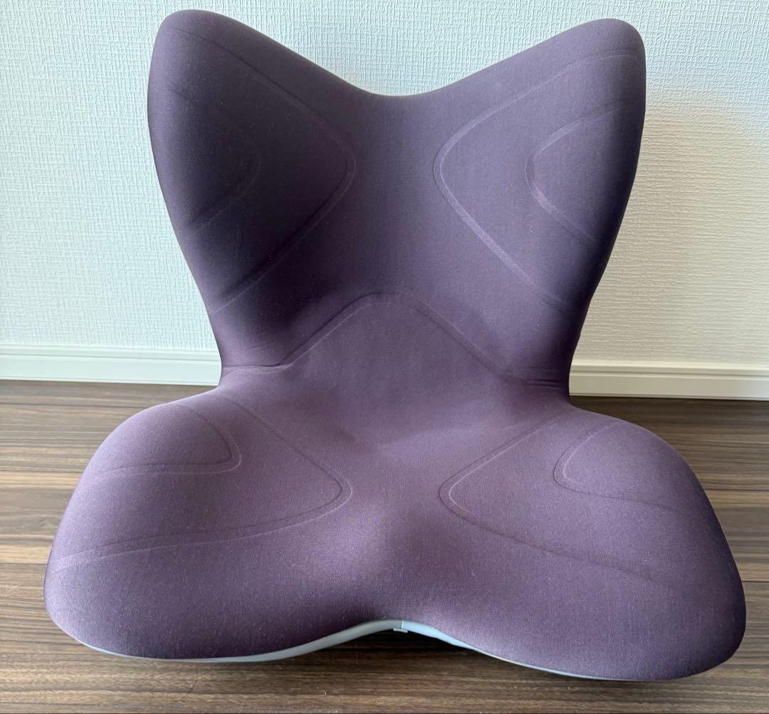 Style Premium スタイルプレミアム 骨盤・姿勢矯正クッション