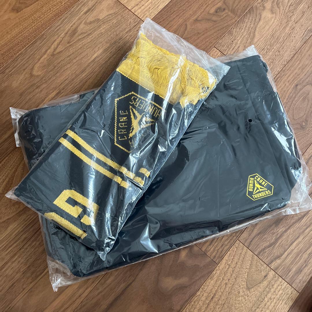 【群馬クレインサンダーズグッズ】トートバッグ＆マフラー