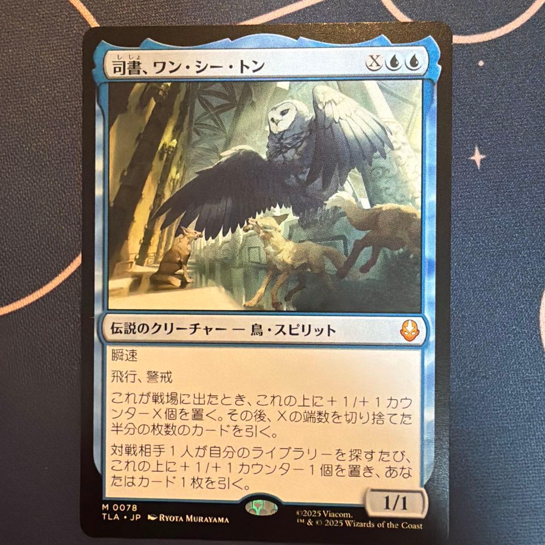 司書、ワン・シー・トン　日本語　アバター　伝説の少年アン