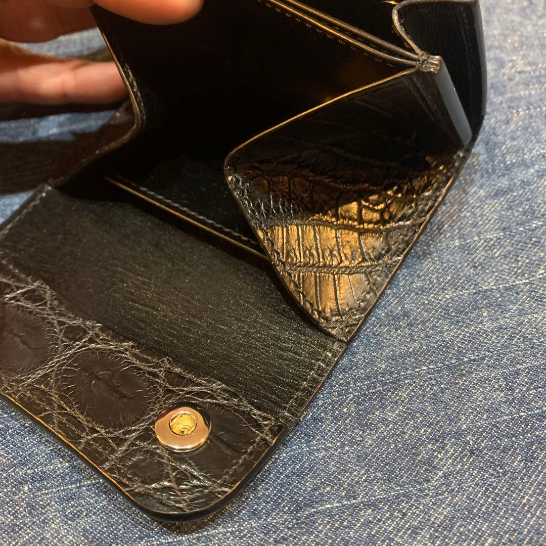 ワイルドスワンズ　ポント