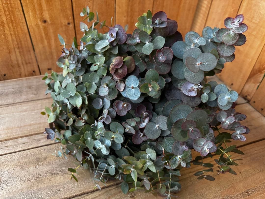 kikurin728様 リクエスト 3点 まとめ商品