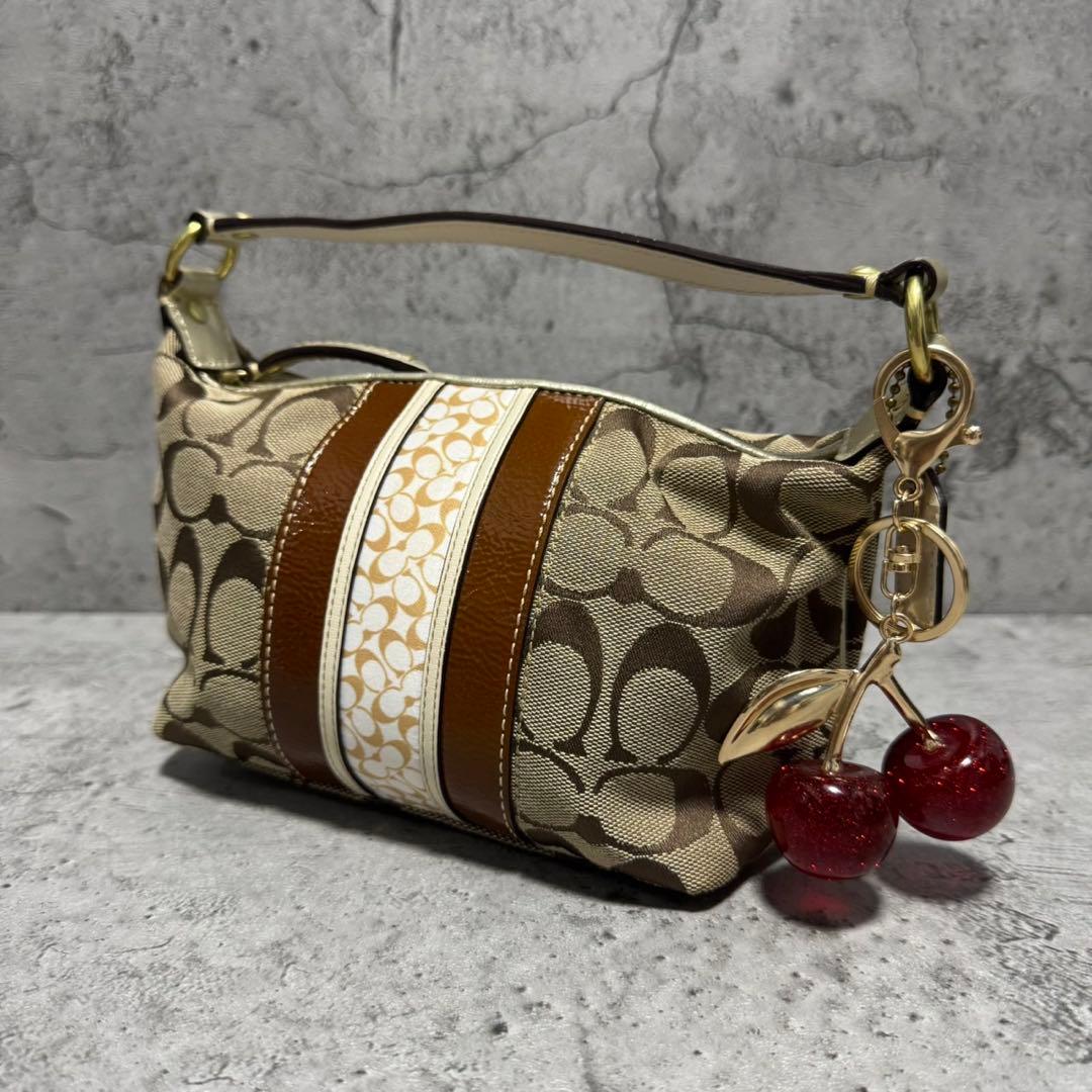 バッグ Coach Y2K Hobo Signature Accessory Pouch