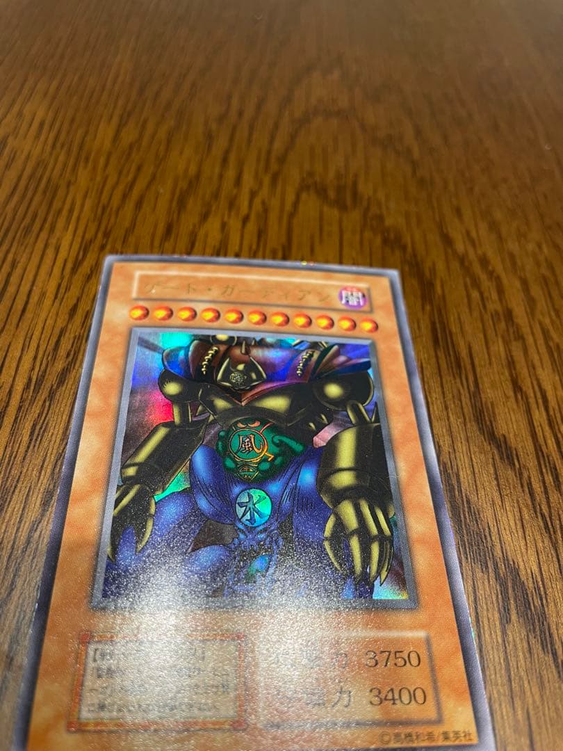 ゲート・ガーディアン　初期