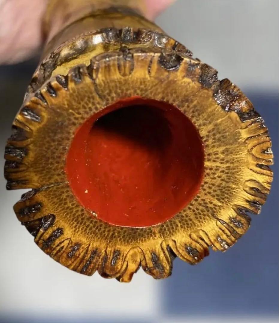 尺八　1尺8寸管 Amazon | 尺八 樹脂製 1尺8寸管 key D （完全調律尺八 悠) | 尺八