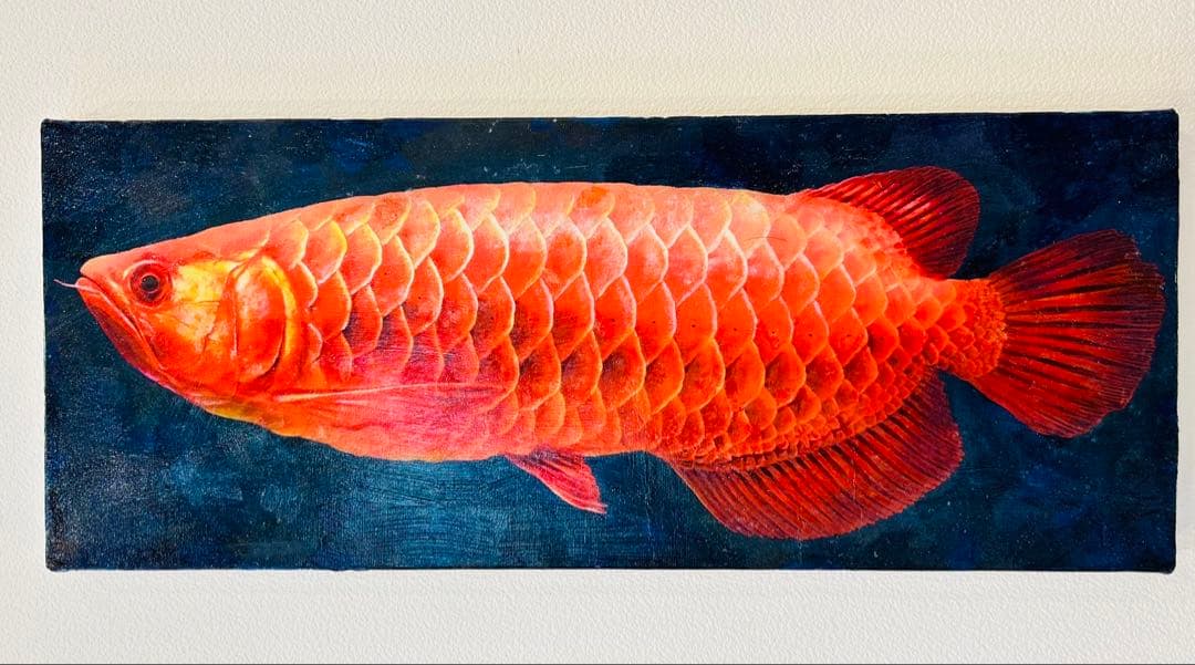 血紅龍　アロワナ　アクリルガッシュ　絵画　版画