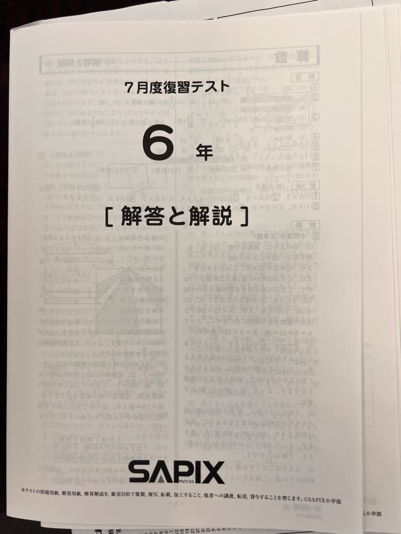 2024年SAPIX 6年生 テスト解答と解説集(全部12回分) - メルカリ