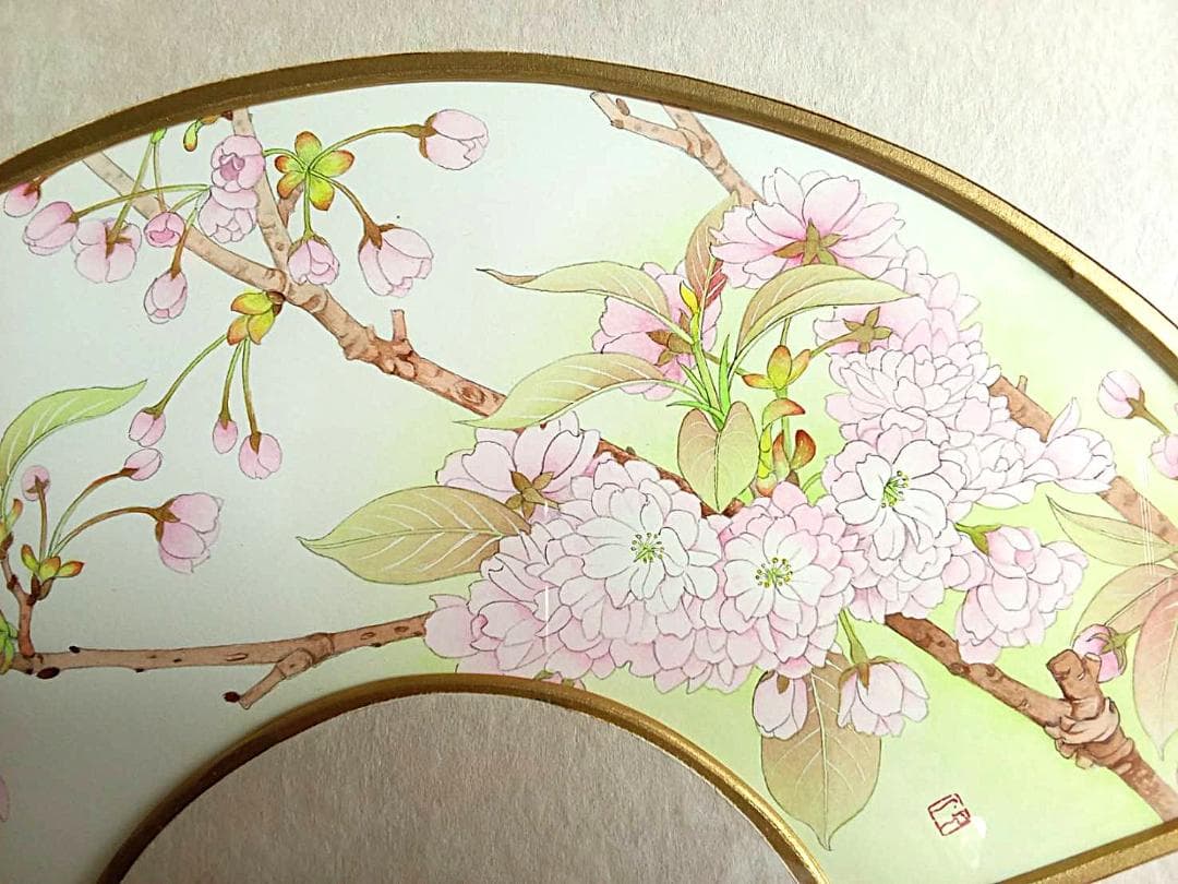 大幅 最終値下げです！ 山本敏雄直筆　扇面八重桜（春）＆鹿の子ゆり（夏）セット…