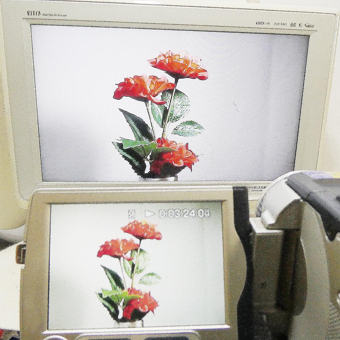 ソニーDCR-TRV30 【動作良好】MiniDV ビデオカメラ ダビングに最適