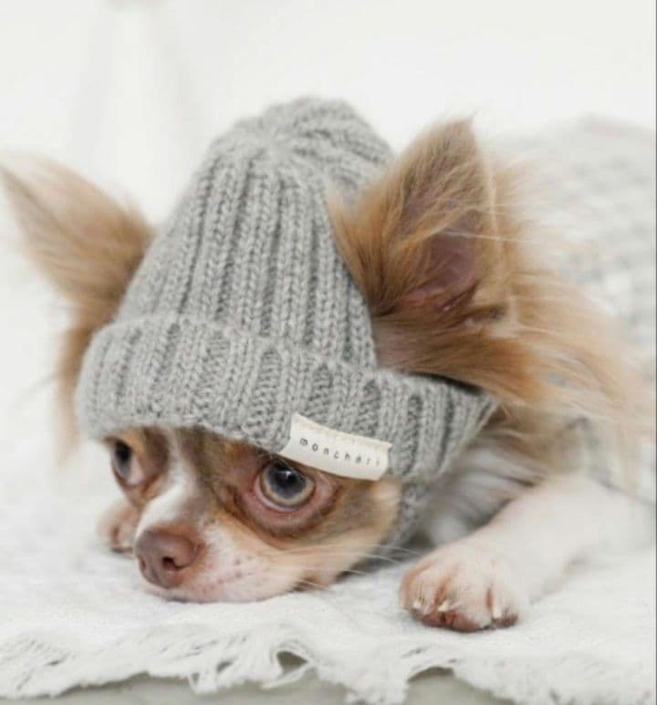 Hycnm　ガウディスキンTAラージボトル