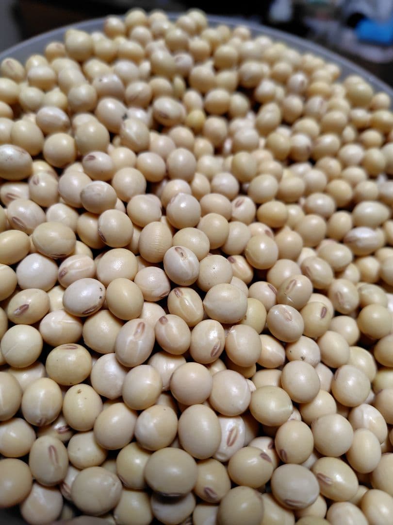 すずはな7年岐阜県産低農薬大豆フクユタカ20キロ すずはな様専用岐阜県産低農薬大豆フクユタカ15キロ - メルカリ