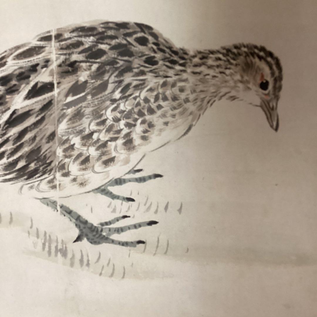 紙本彩色画掛軸一幅《秋野雉子図》軸先陶器軸　肉筆画　荒木十畆　落款在模写　184