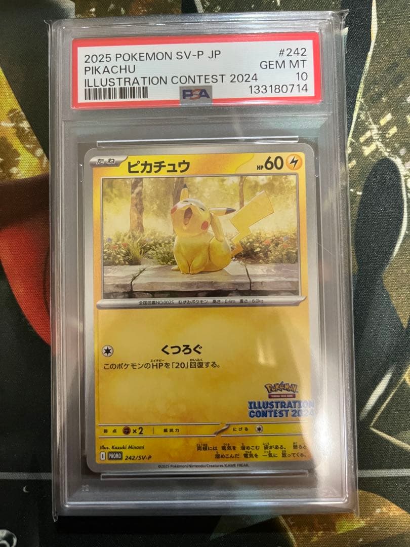 【PSA10】2025 ピカチュウ イラストコンテストカード PSA 10 Pikachu Promo Illustration Contest 242/SV-P 2025 Pokemon
