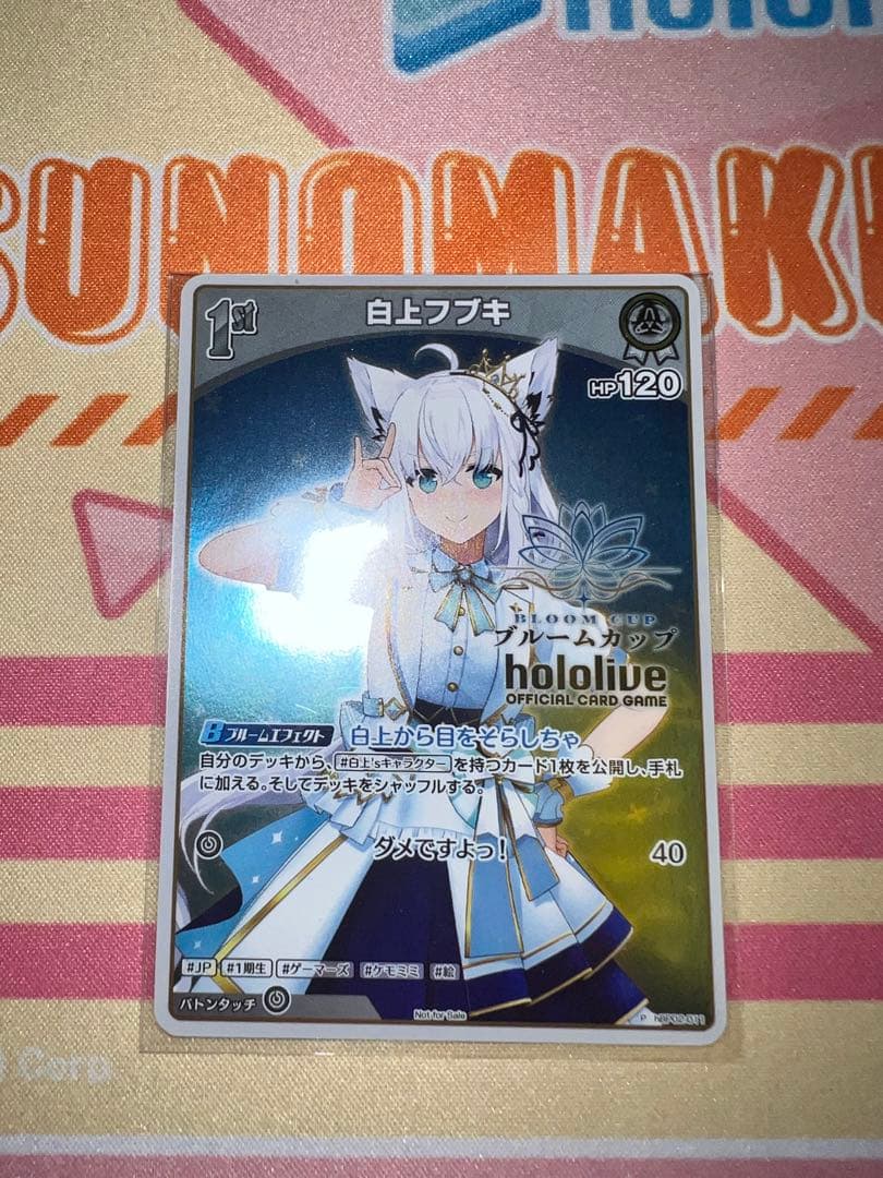 ホロカ フブキ ブルームカップ