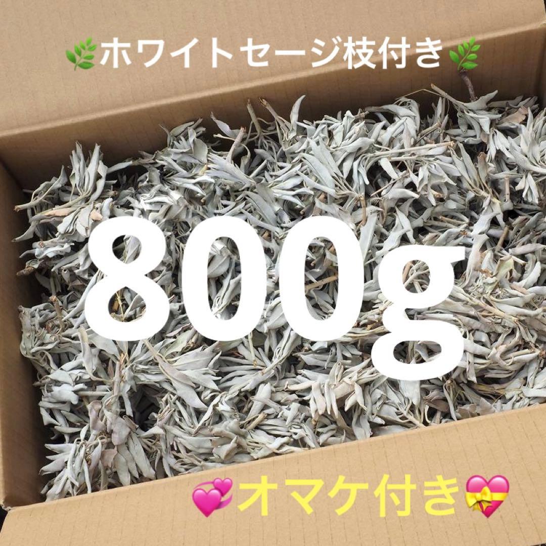 激安お買い得☆800g＜浄化☆邪気祓い☆カリフォルニア産ホワイトセージ枝付き＞