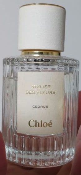 【日本語表記あり50ml 】Chloé CEDRUS