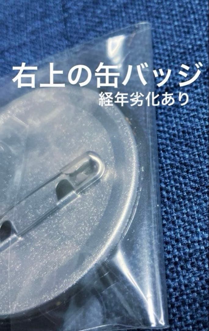 BLEACH ブリーチ ダッシュストア 缶バッジ アクリル 藍染惣右介 藍染