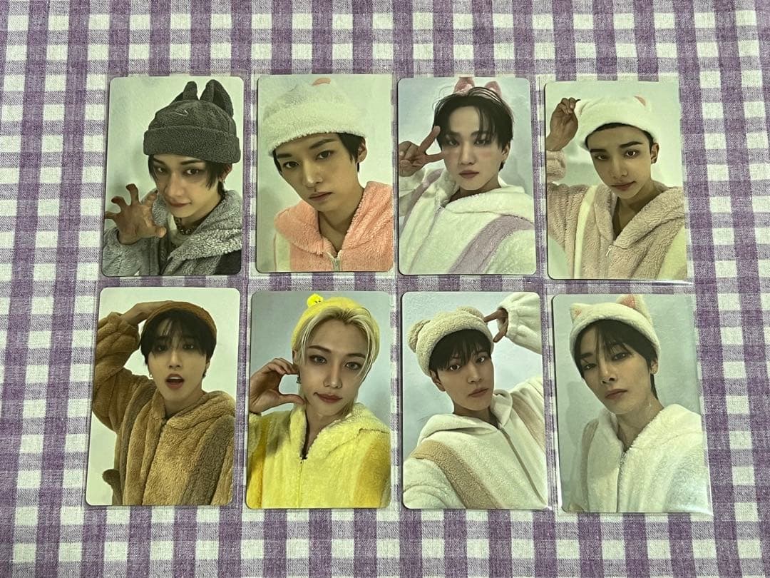 Stray Kids Hollow エコパ トレカ SKZOO タワレコ コンプ - メルカリ