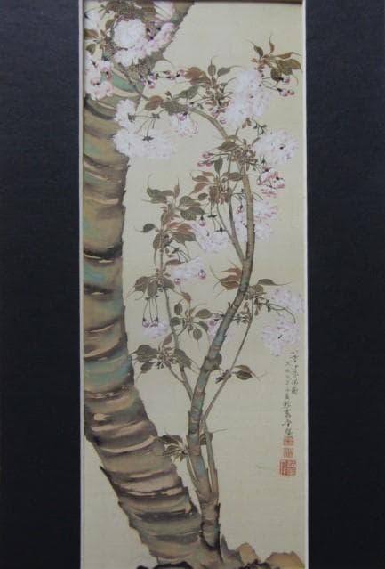 織田瑟々、【八重伊勢桜図】、希少画集画より、状態良好、新品高級額装付 織田瑟々、【八重伊勢桜図】、希少な額装用画集より、美品、新品額装付