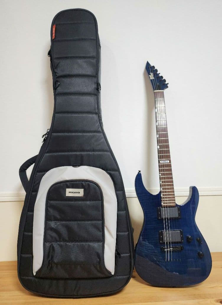 ESP M-II SAYO BanG Dream! ROSELIA 氷川紗夜　他