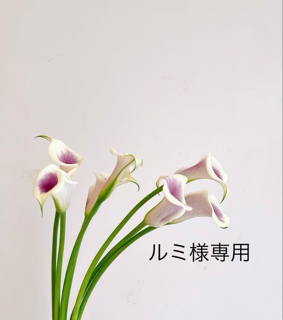 ルミ♡