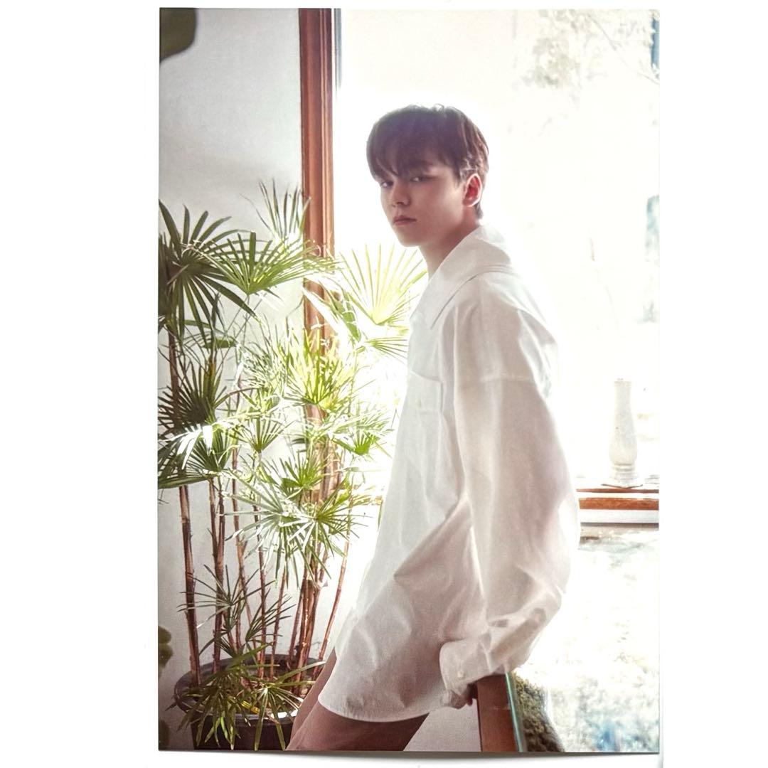 seventeen ジュン エスクプス バーノン 缶バッジ トレカ ラキドロ