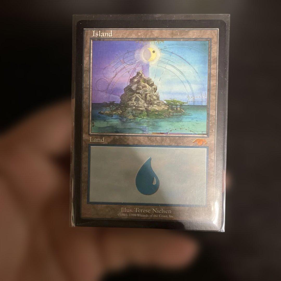 竹*ん様 グルランド　島　 プレイ用