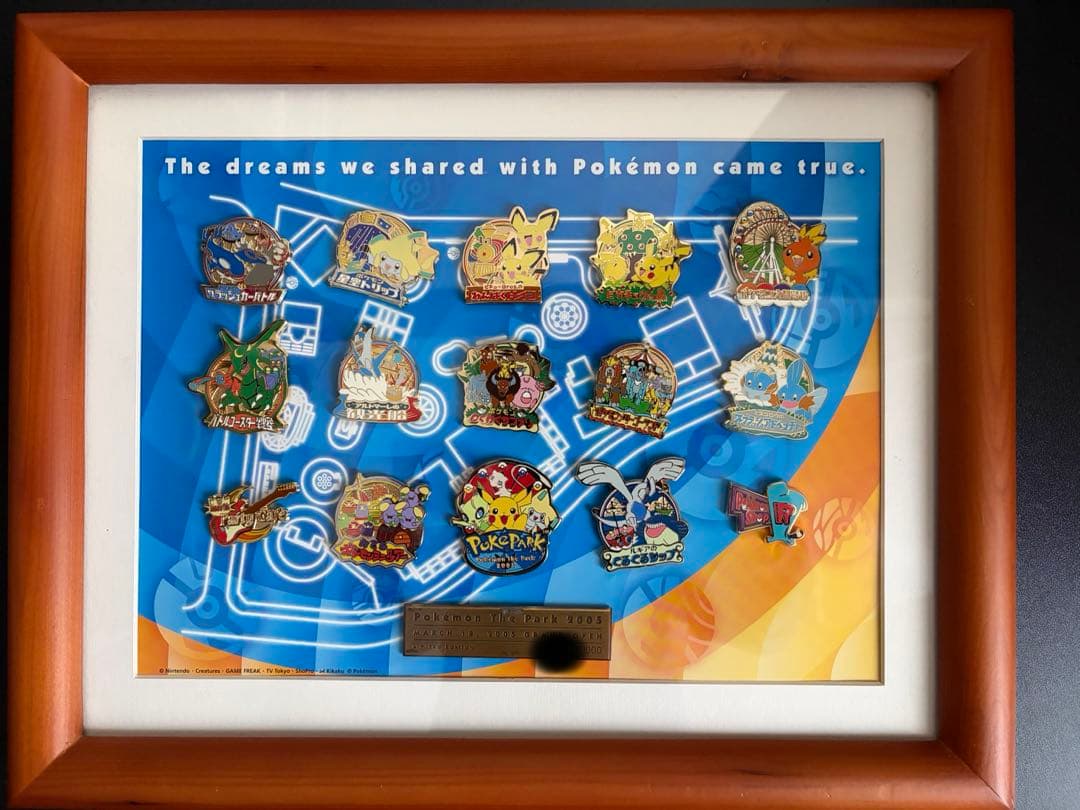ポケパーク ピンバッジ コンプリート セット ポケモン