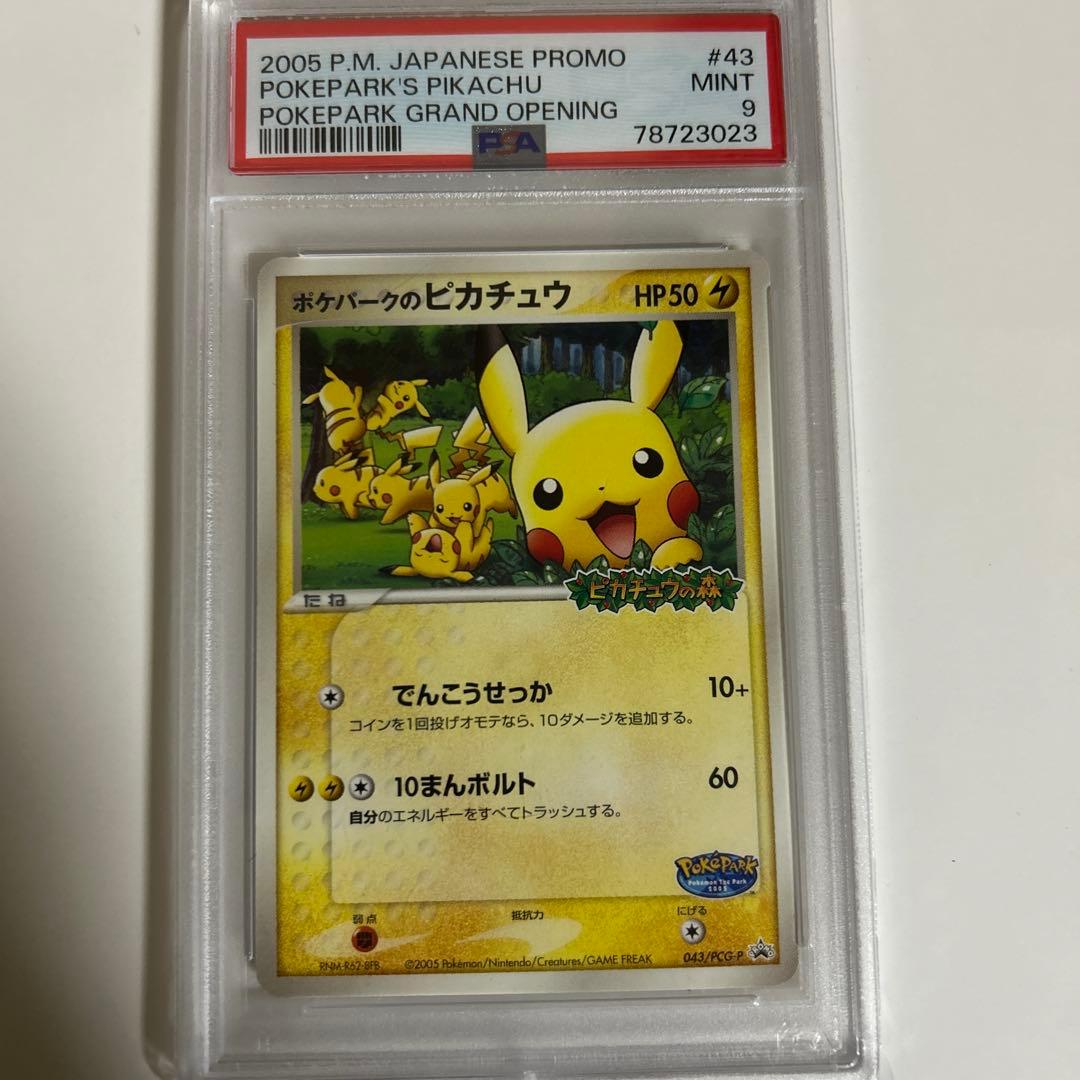 ポケパークのピカチュウ PROMO PCG-Pプロモカード 043/PCG-P