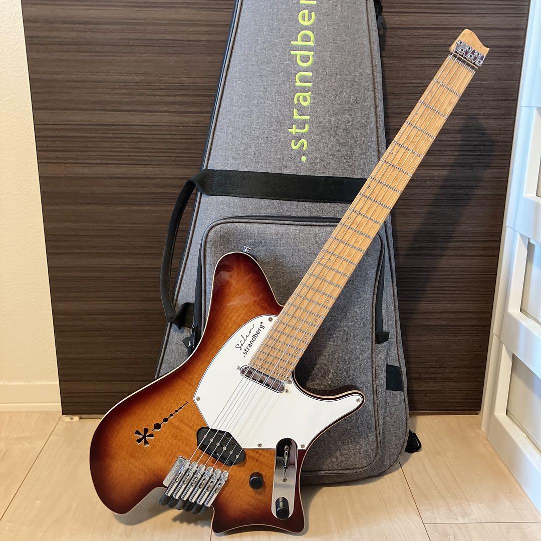 【最終値下げ】strandberg Salen Deluxe