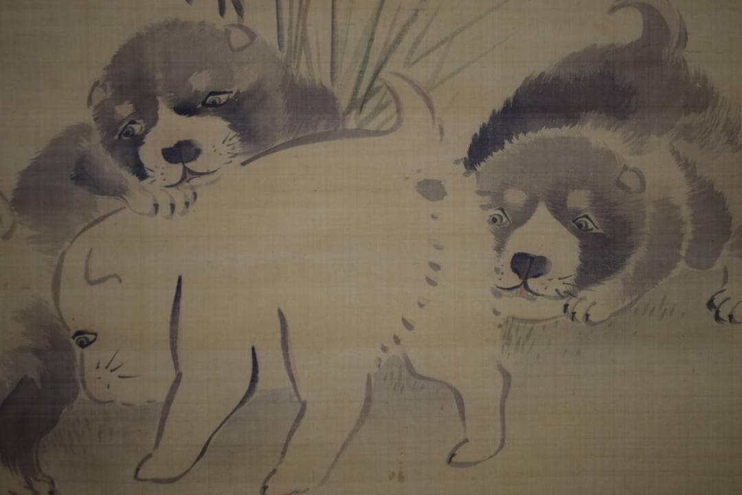 不詳/作者不詳/仔犬図/子犬図/干支図/布袋屋掛軸HJ-10 不詳/作者不詳/仔犬図/子犬図/干支図/布袋屋掛軸HJ-10