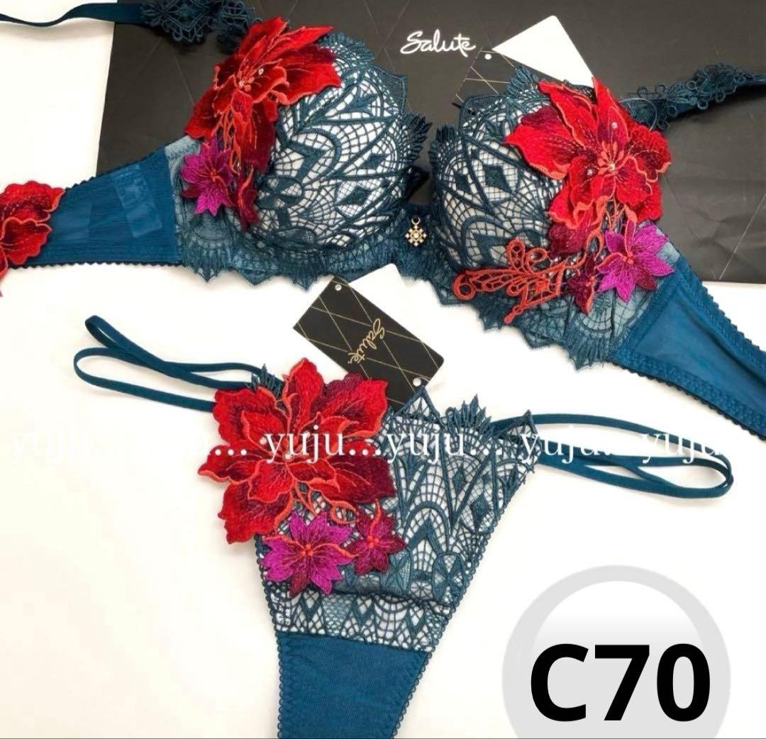 ワコール/サルート 72G 新品タグ付 P-upブラソング BS C70