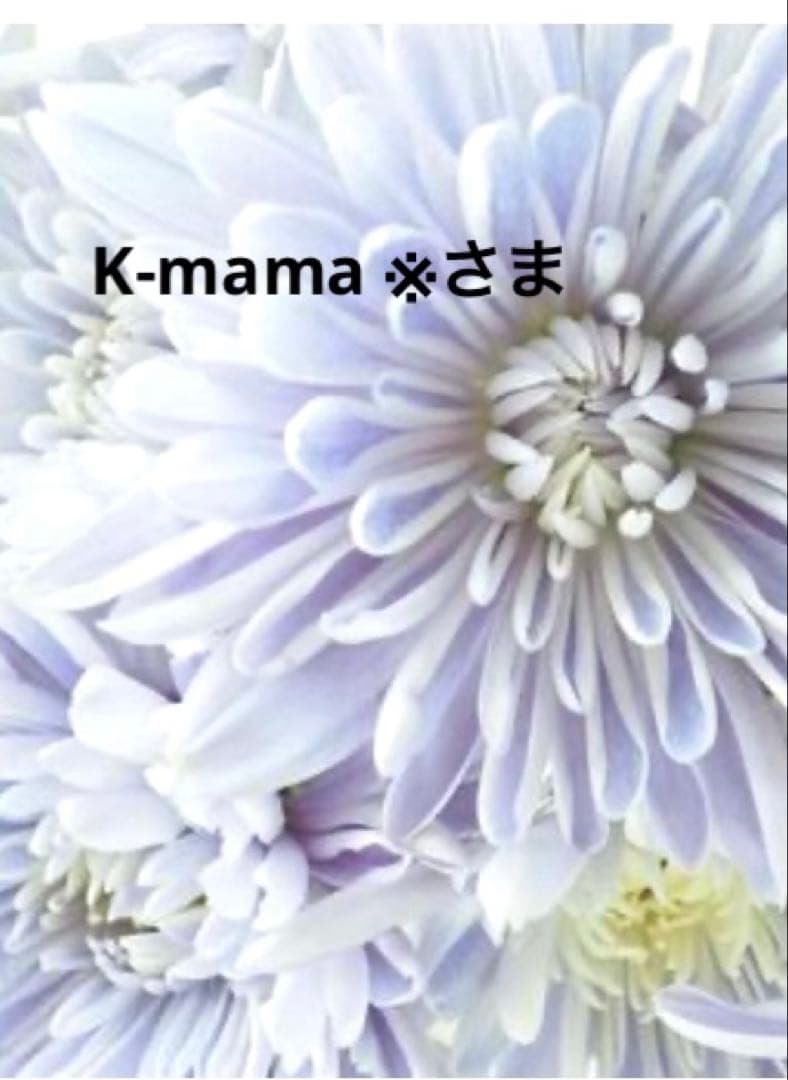 在庫ラスト✨CHANEL チェーンウォレット　キルティングショルダー　ノベルティ CHANEL（シャネル） CHAIN WALLET BAG チェーンウォレット ショルダー