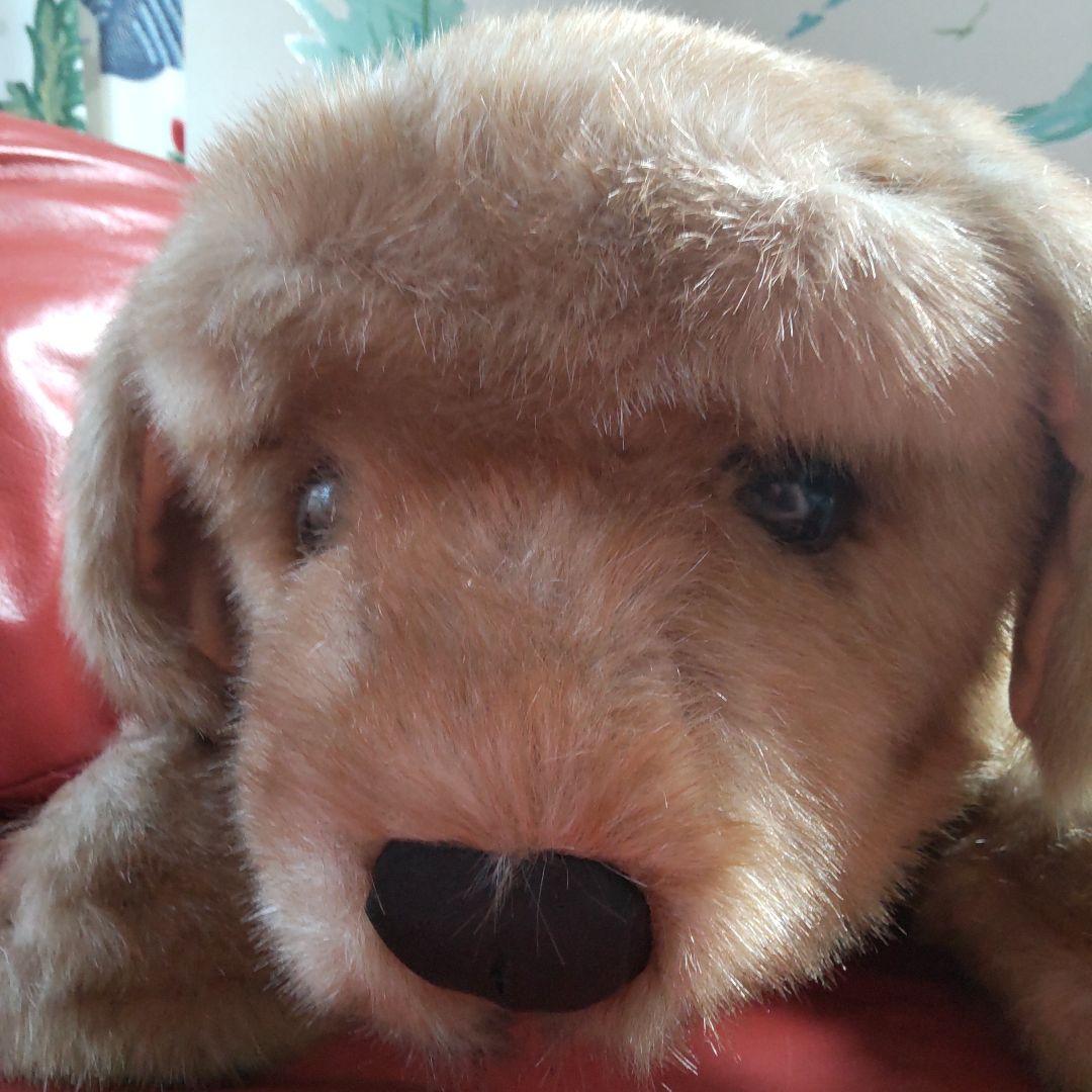 三英　ゴールデンレトリバー　レトロ　特大　1m以上　実物大