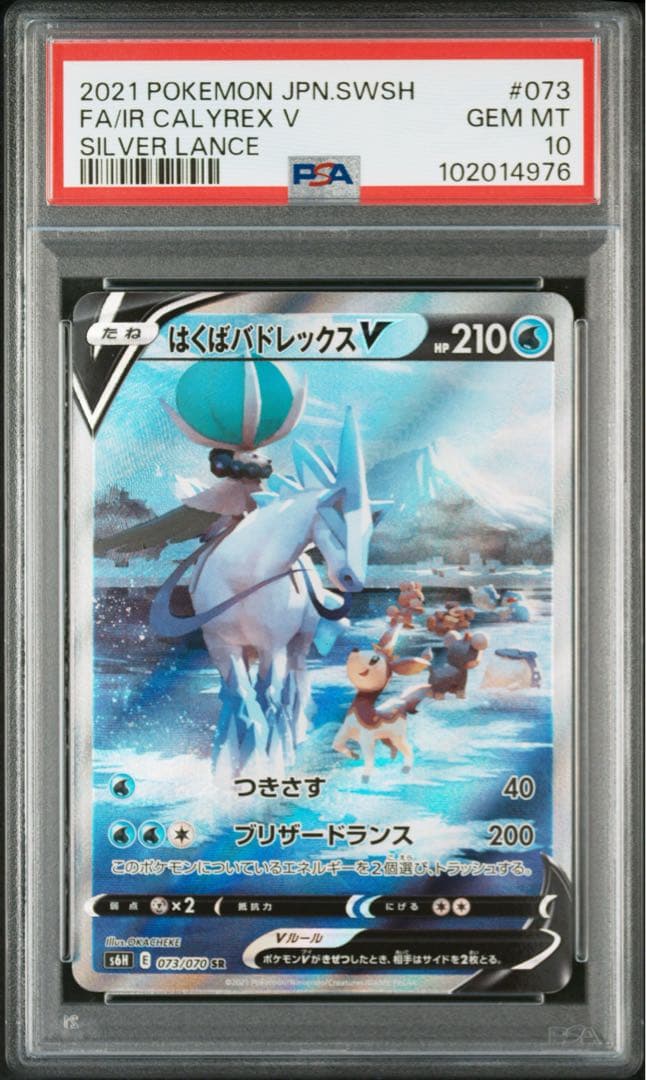 はくばバドレックスV SA 【PSA10】