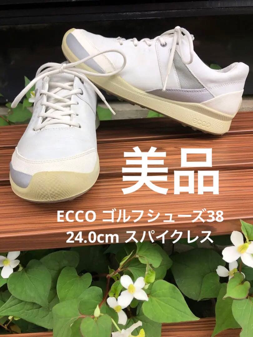 335番 美品ECCO バイオム ゴルフシューズ 38 24.0cmスパイクレス