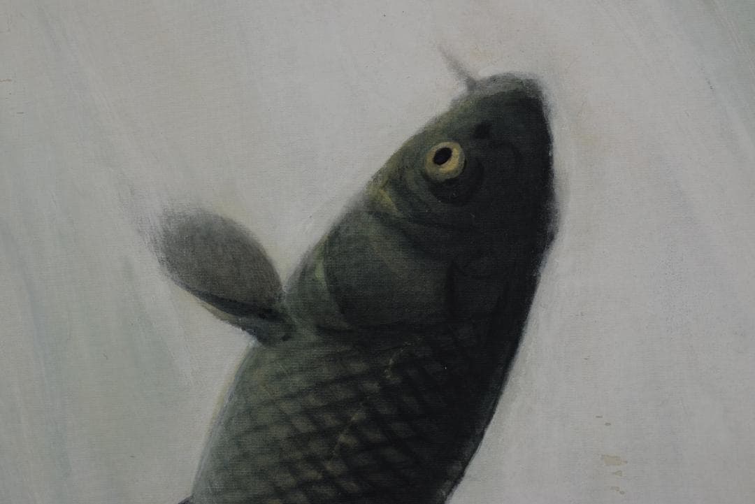 【真作】山本紅雲/鯉滝昇図/滝登鯉/飛鯉図/掛軸☆宝船☆Z-698 昇鯉登龍門図 森山観月 尺五 日本製 開運画 - 掛け軸（掛軸）販売通販