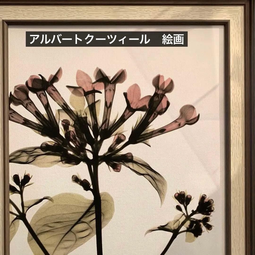 ☆未使用品☆アルバートクーツィール 植物のシルエットアート　絵 雑貨 OP-4 楽天市場】アルバート・クーツィールの通販