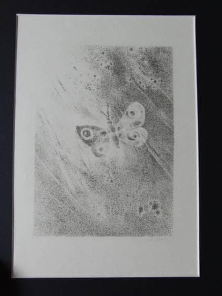 岡鹿之助、蛾、素描目録、限定400部、サイン入り、新品額装