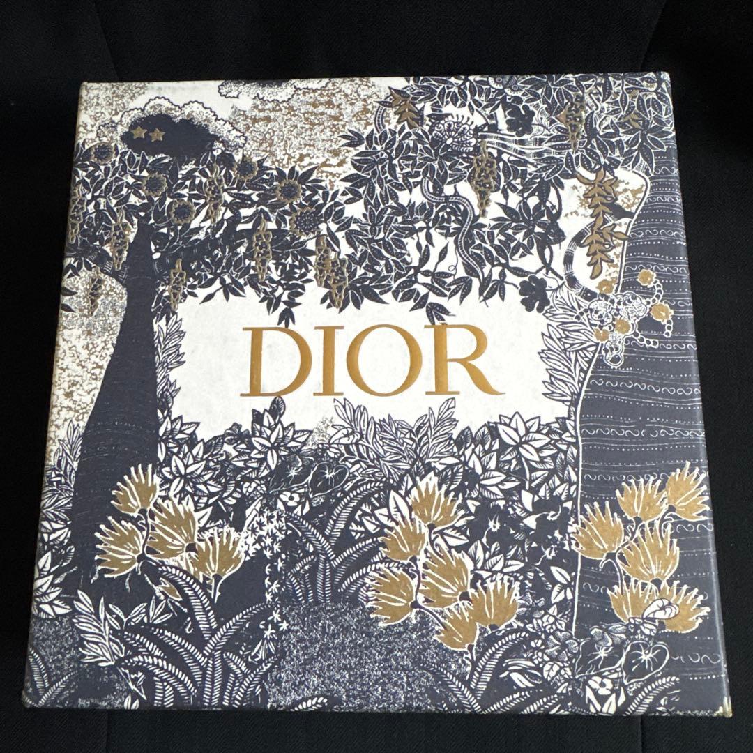 Christian Dior ディオール レザーベルト ブラック