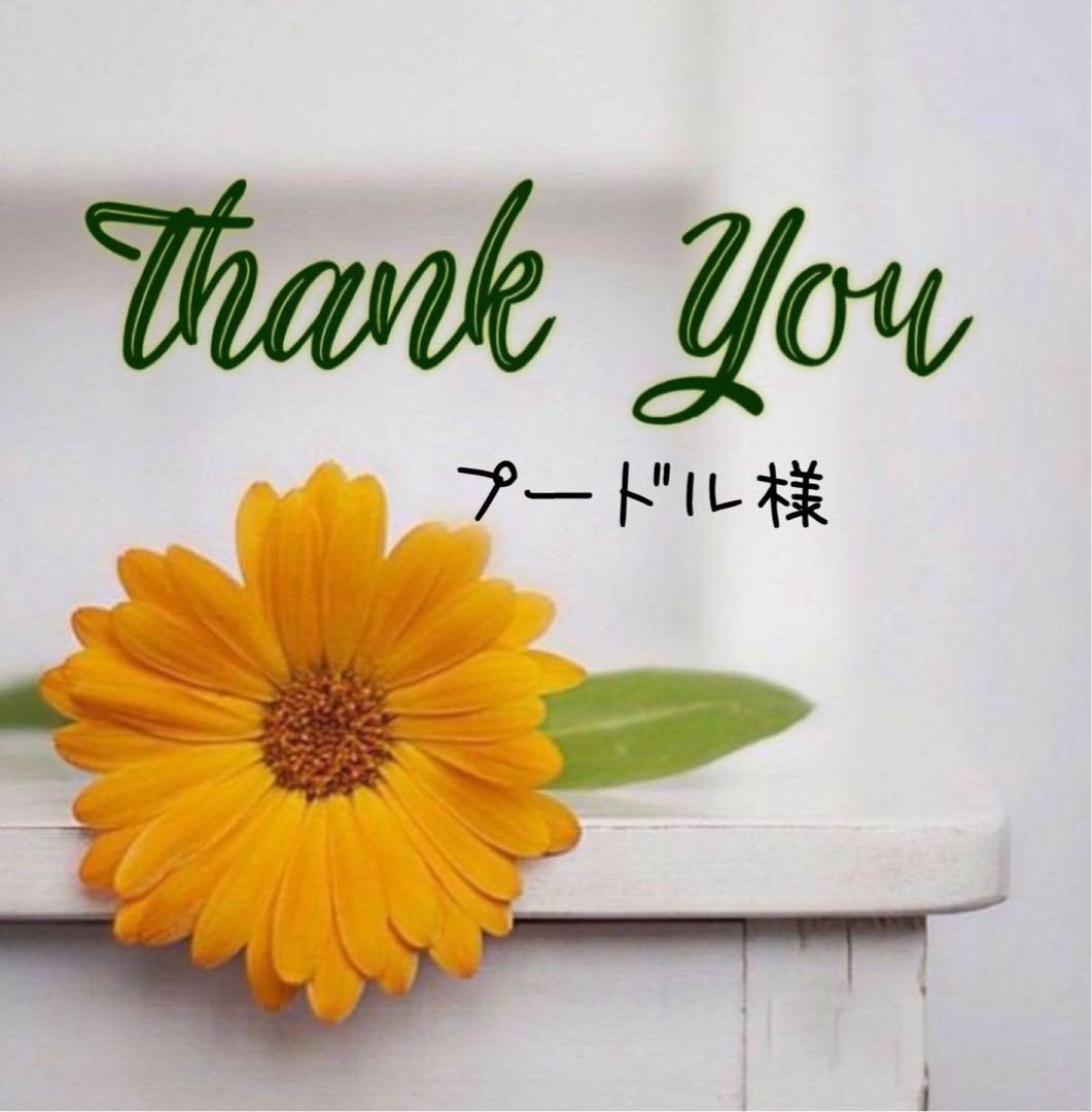 プードル様 リクエスト 5点 まとめ商品